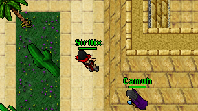 Sirllix on screen