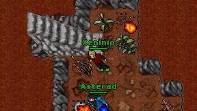 Xeninio on screen