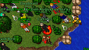 Catirel on screen