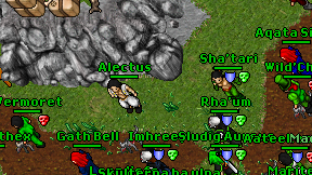 Alectus on screen