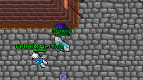 Mowid on screen