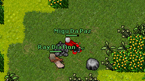 Migu Da Paz on screen