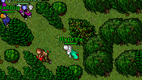 Hyprex on screen