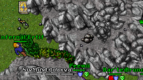 Infernal'Ertif on screen