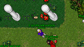 Lords skualos on screen