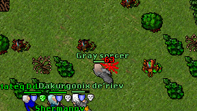 Gray sorcer on screen