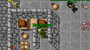 Zig'Bronw on screen