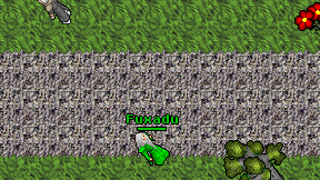 Fuxadu on screen
