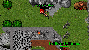 Kaptinha on screen