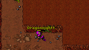Dragonnightt on screen
