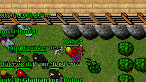 Xater on screen