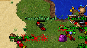 Master'Maghush on screen