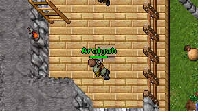 Aralgah on screen