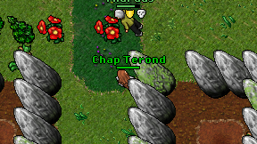Chap Terond on screen