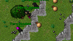 Lord Cabinho on screen