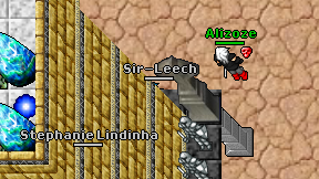 Sir-Leech on screen