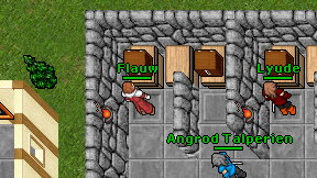 Flauw on screen