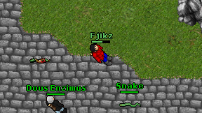 Fjikz on screen
