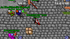 Knightor'ess on screen