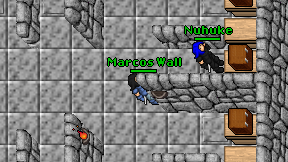 Marcos Wall on screen