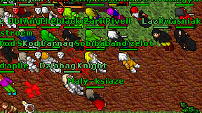 Land'zelot on screen