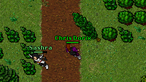 Chris Dorix on screen