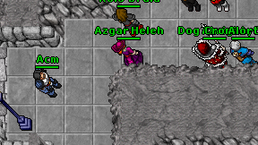 Azgar Heleh on screen