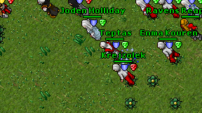 Rafaellocs on screen