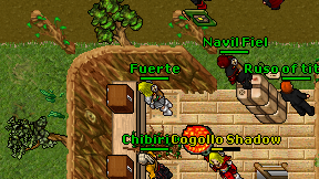 Fuerte on screen