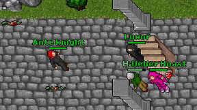 Ante knight on screen
