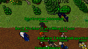 Destroyer Abssolut on screen