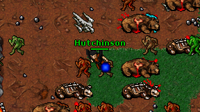 Hutchinson on screen