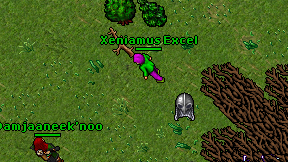 Xeniamus Excel on screen