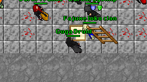 Guga Druid on screen