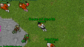 Rose of death on screen