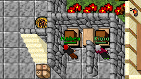 Nabex on screen