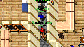 Sark stare on screen