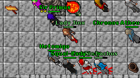 Squal-Druid on screen