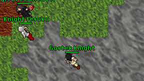 Gostek Knight on screen
