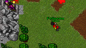 Felipewx on screen