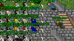Netindar on screen