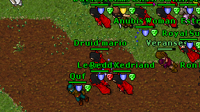 Druid'mario on screen