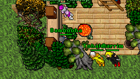 Bambooha on screen