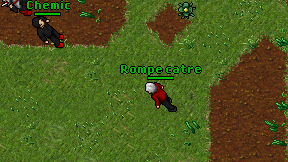 Rompe catre on screen