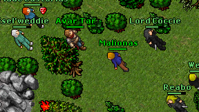 Malionas on screen