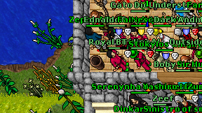 Zephy Allow on screen