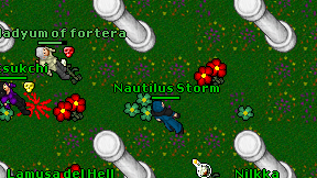 Nautilus Storm on screen