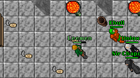 Leemen on screen