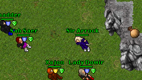 Sir Arrock on screen