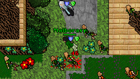 Malborasy on screen